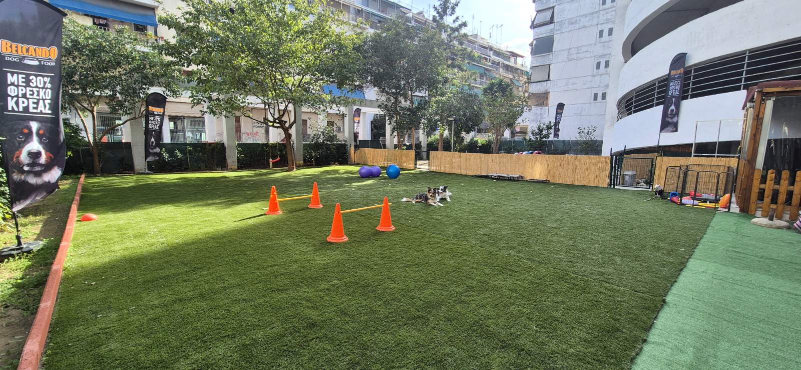 Contact Myrto Koutoulia